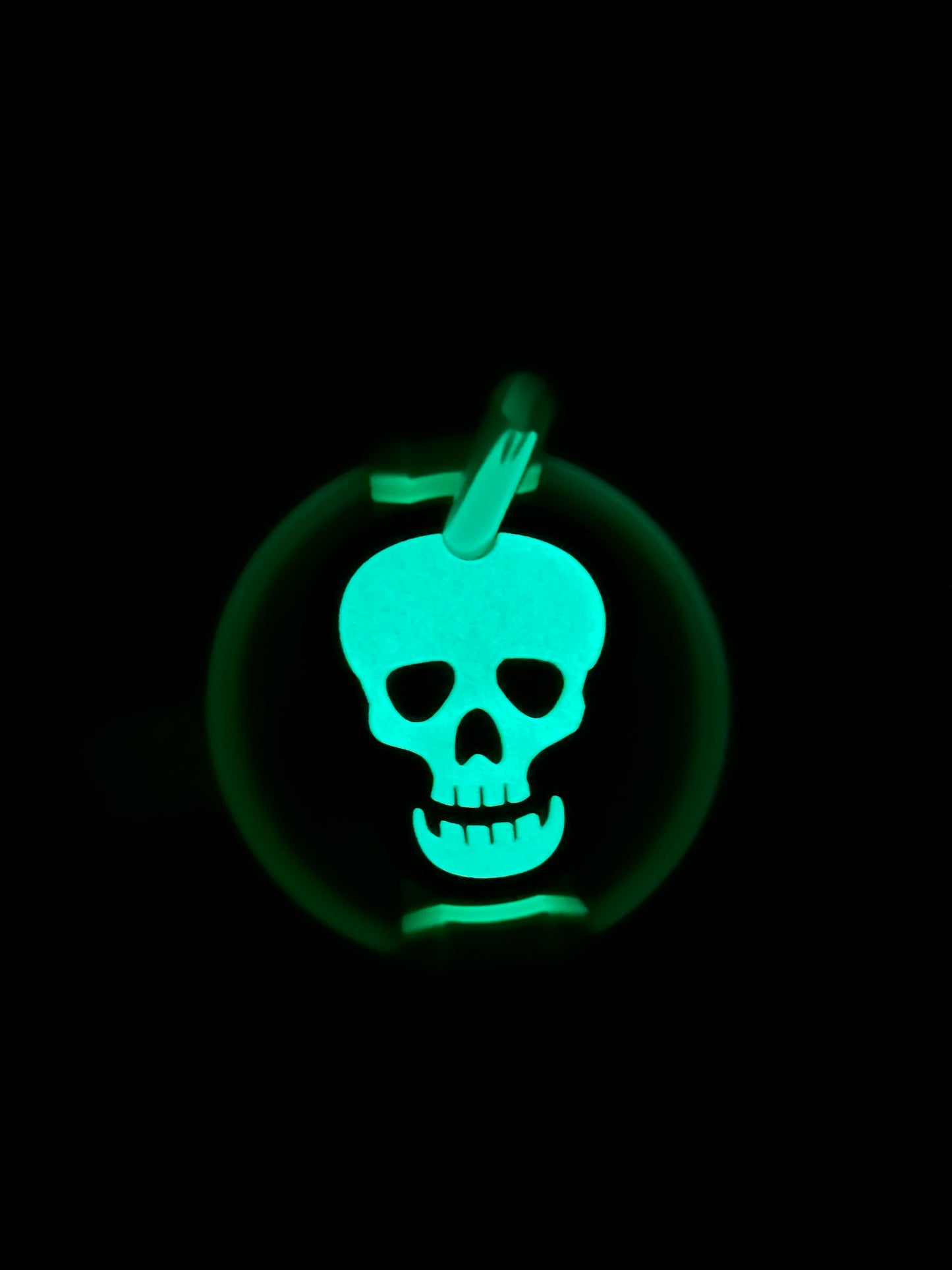 Glow in the dark Stanley topper