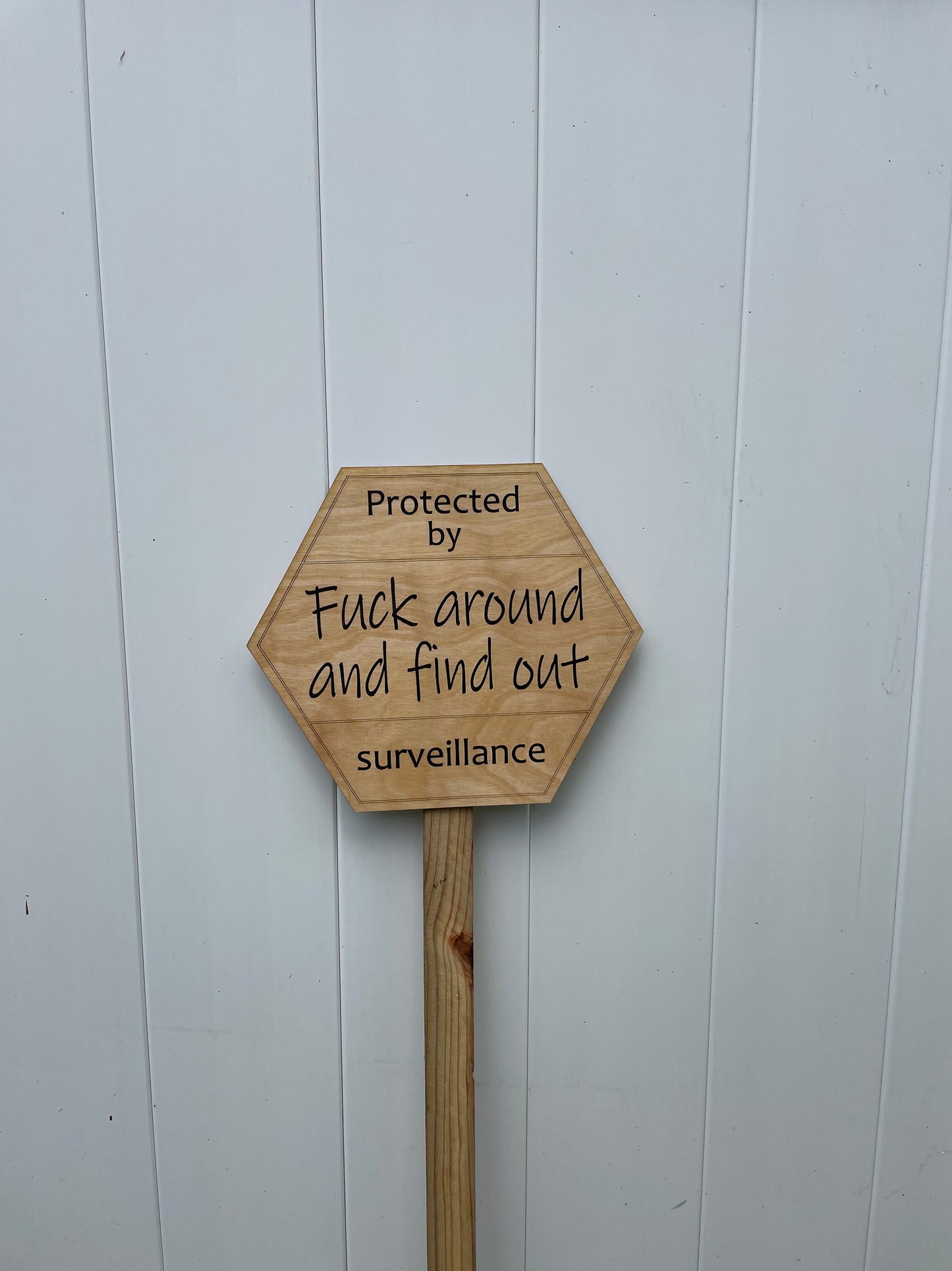 Surveillance sign. Fuck around and find out.