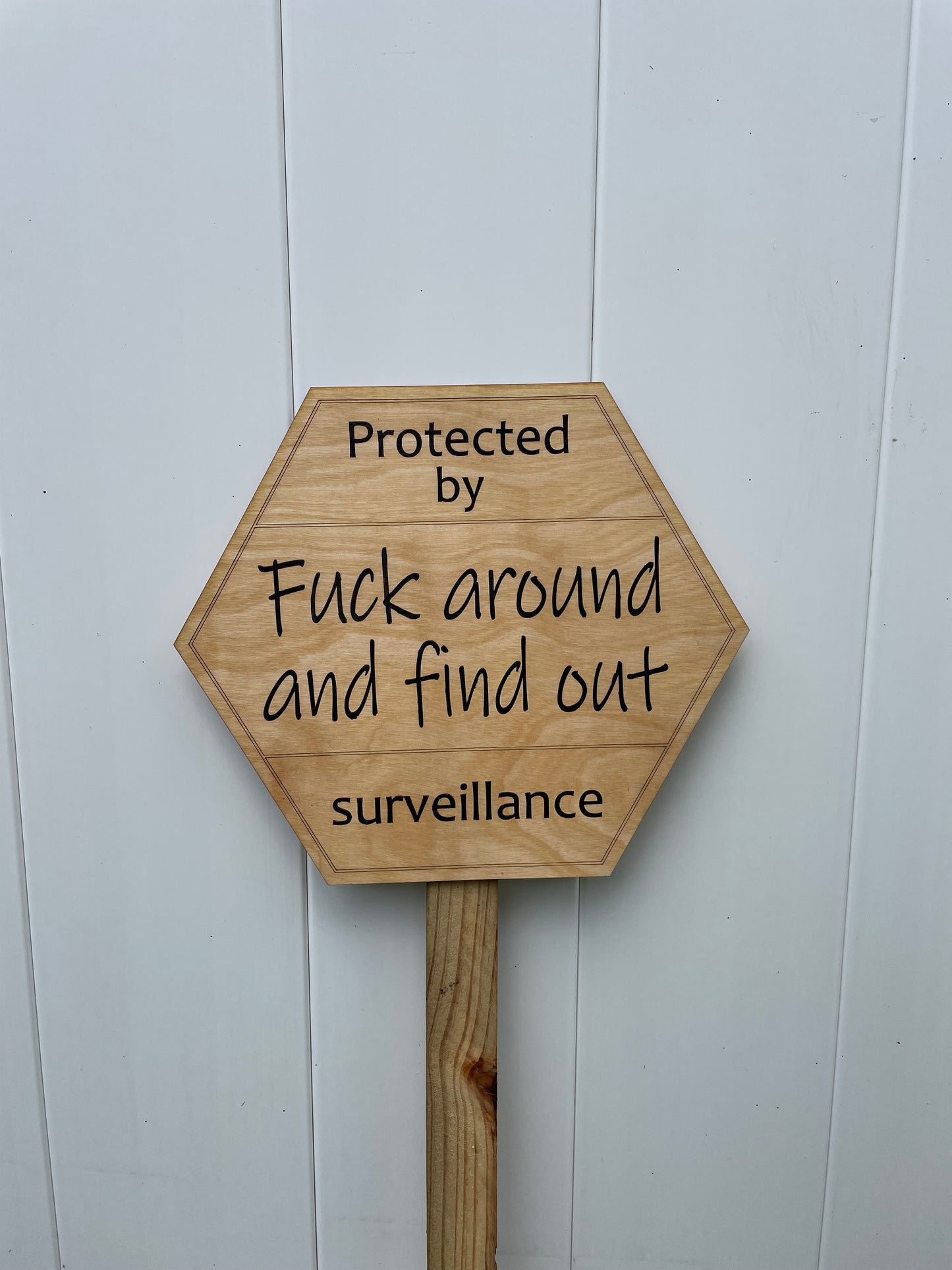 Surveillance sign. Fuck around and find out.
